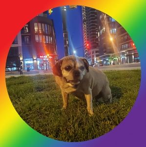 Meet your Posher, Amber